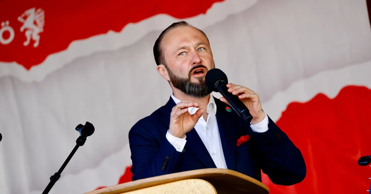 Vorstand der SPÖ Graz nach Wahldebakel aufgelöst