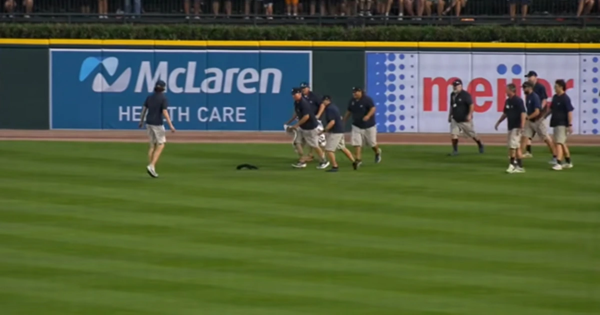 Eichhörnchen stiehlt Baseball-Profis die Show
