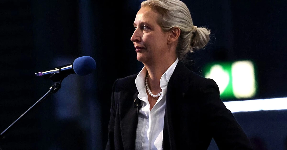 Verfahren gegen AfD und verbündete Parteien