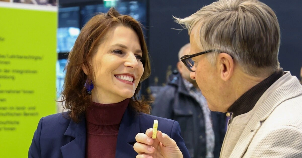 Wirtschaftskammer-Boss erteilt Edtstadler Abfuhr
