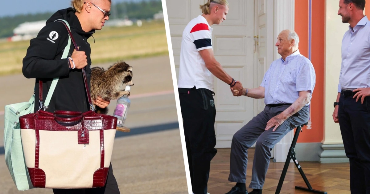Haaland mit „saufendem“ Waschbär zum Königshaus
