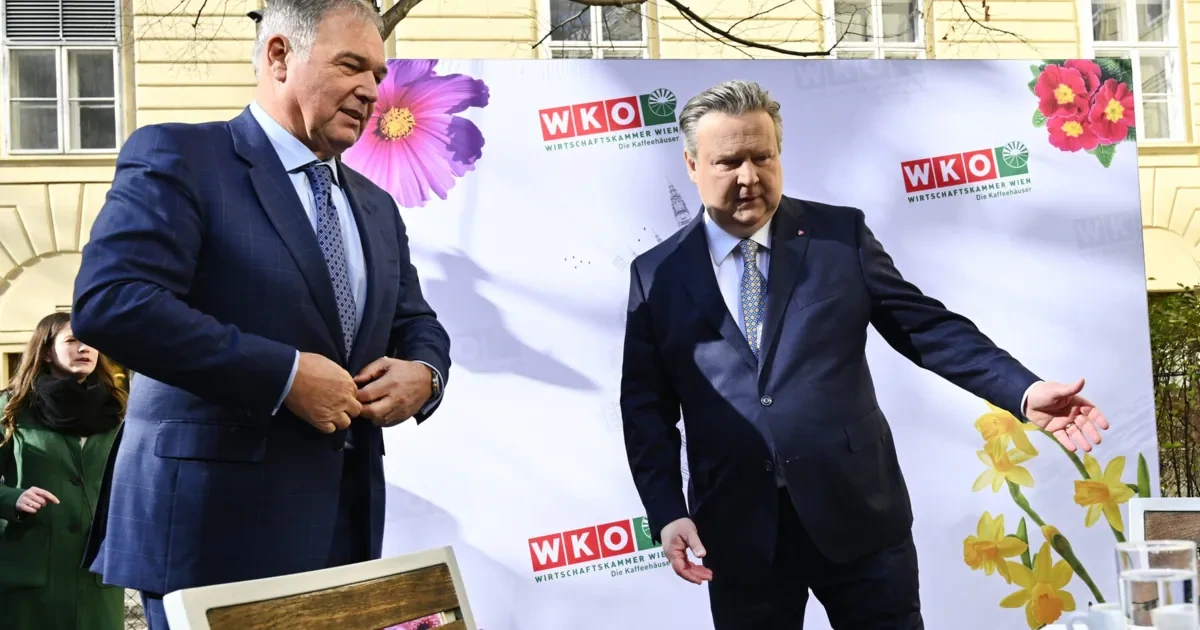 Ruck-Rücktritt lässt Ludwig kleinlaut zurück