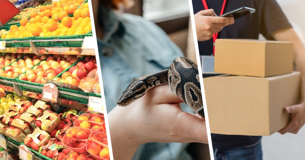 Preise, Reptilien, Packerl: Das gilt ab sofort