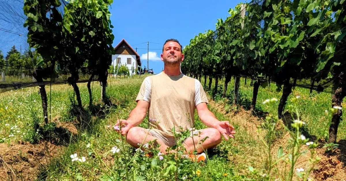 Dieser Mann setzt Doskozils Gesundheitsreform um