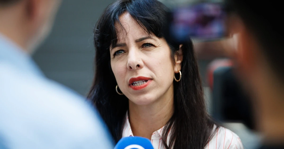 Linkspartei zeigt deutschen Innenminister an