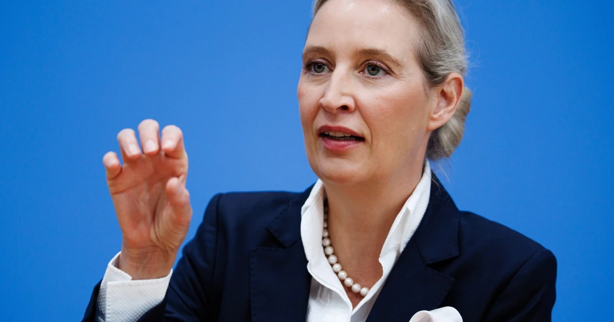 Alice Weidel: „Hitler war ein Linksextremist“