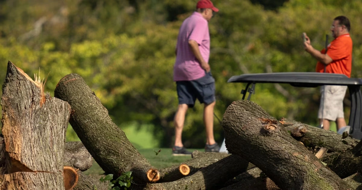 US-Richterin stoppt Baumfällungen auf Golfplatz