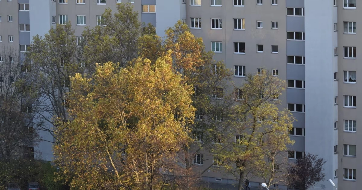 Etwa 2100 Großfamilien beziehen Sozialhilfe