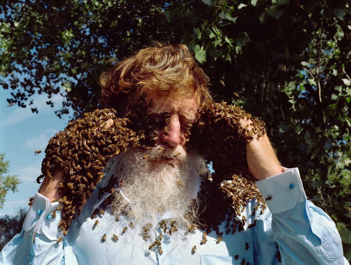 ‘Les the bare-handed beekeeper asked if he should put them on his face. I said: Sure!’ Holly Lynton’s best photograph