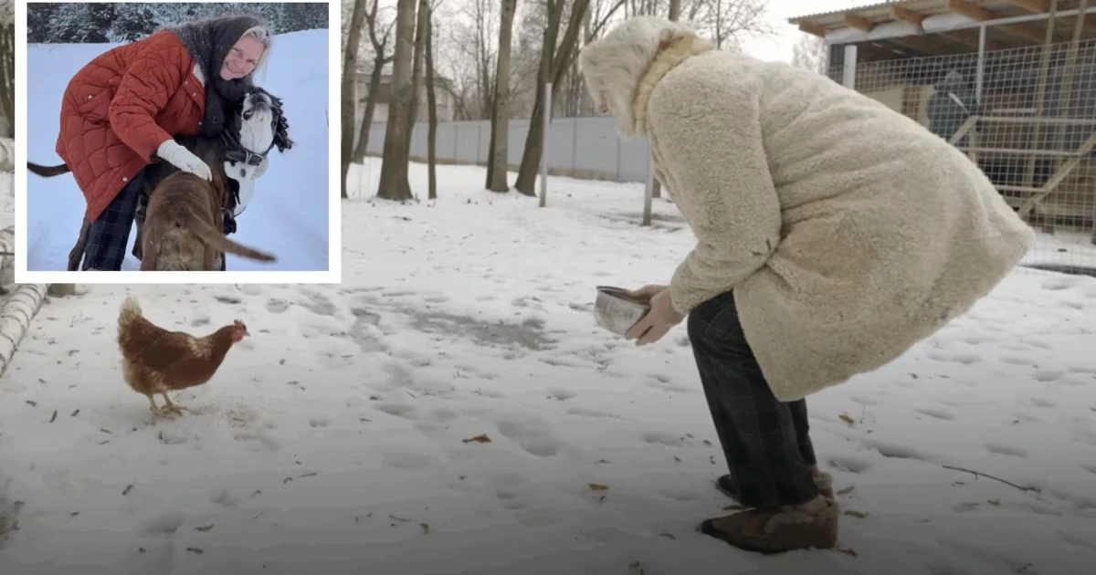 „Habe auf der Straße überlebt mit den Hunden“