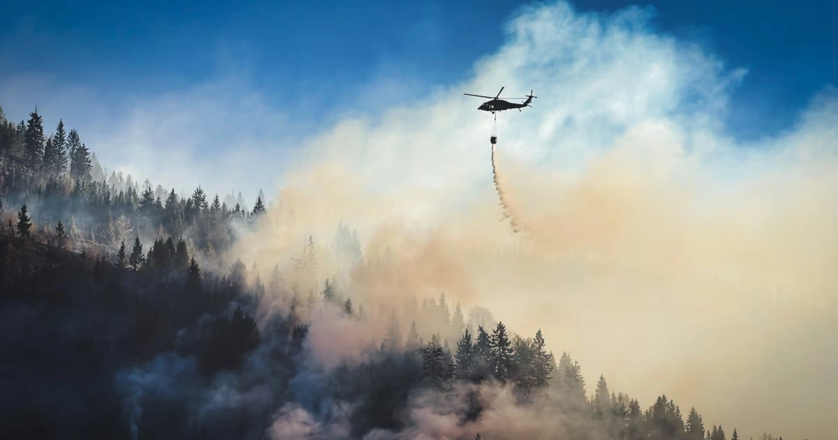Ein Sommer, in dem ganz Europa in Flammen stand
