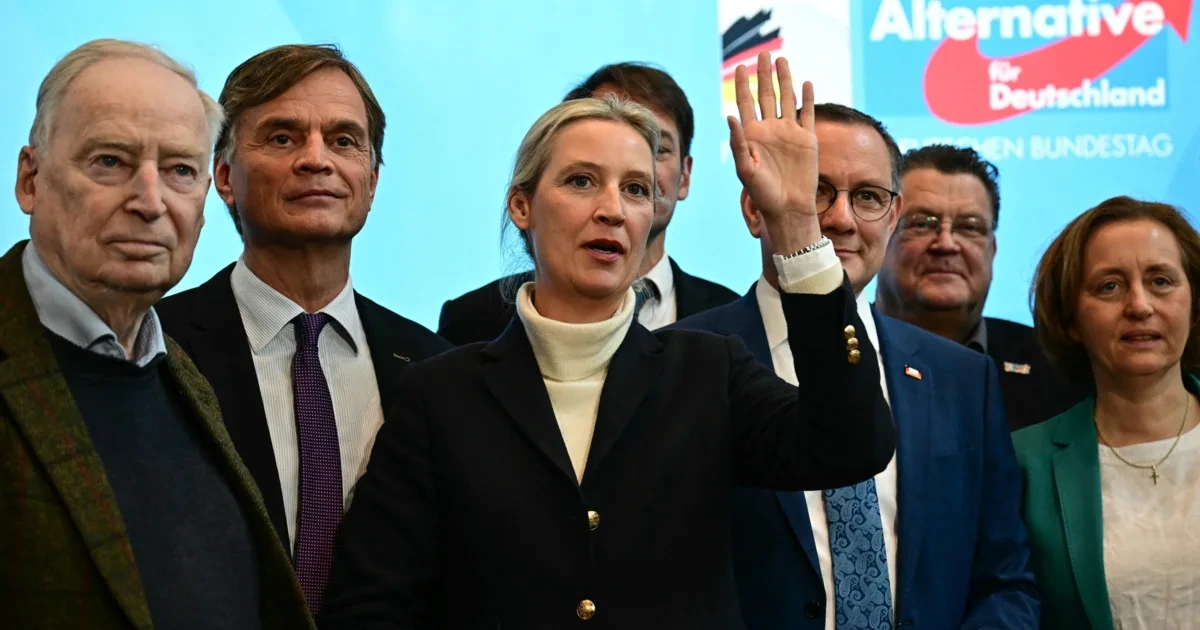 Hackerangriff gegen AfD: 400.000 Mails erbeutet